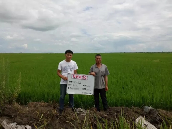農分期項目：黑龍江省寶清縣豐收人谷物種植農民陳希卓從云南信托獲得貸款購買化肥農藥.webp.jpg